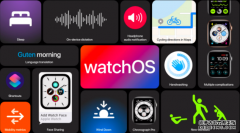 蓝冠1956帐号_苹果WWDC2020重磅清点：watchOS 7 公布