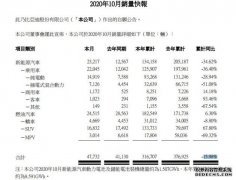 蓝冠官网_比亚迪10月份销售纯电动汽车14919 辆 同